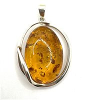 Charm Domar Donna Ambra in Argento Ambra AMBER-CH-7-280